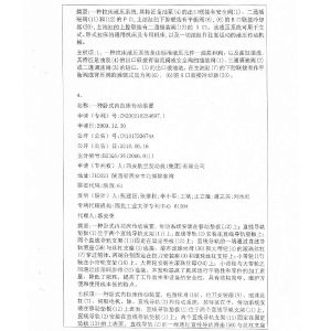 科技查新報告