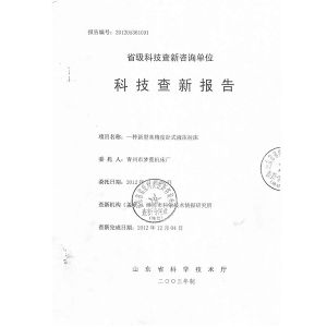 科技查新報告